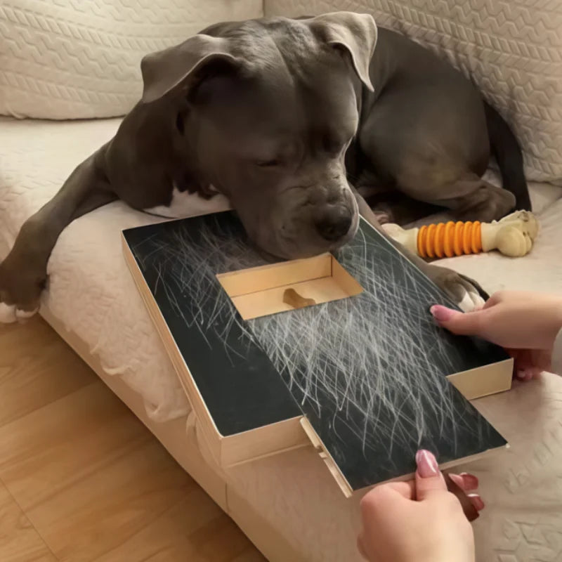 Dog Scratch Board with Treat Box