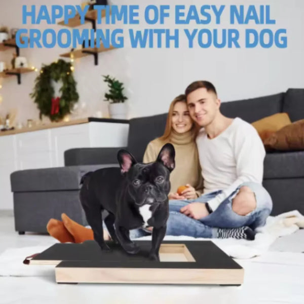 Dog Scratch Board with Treat Box