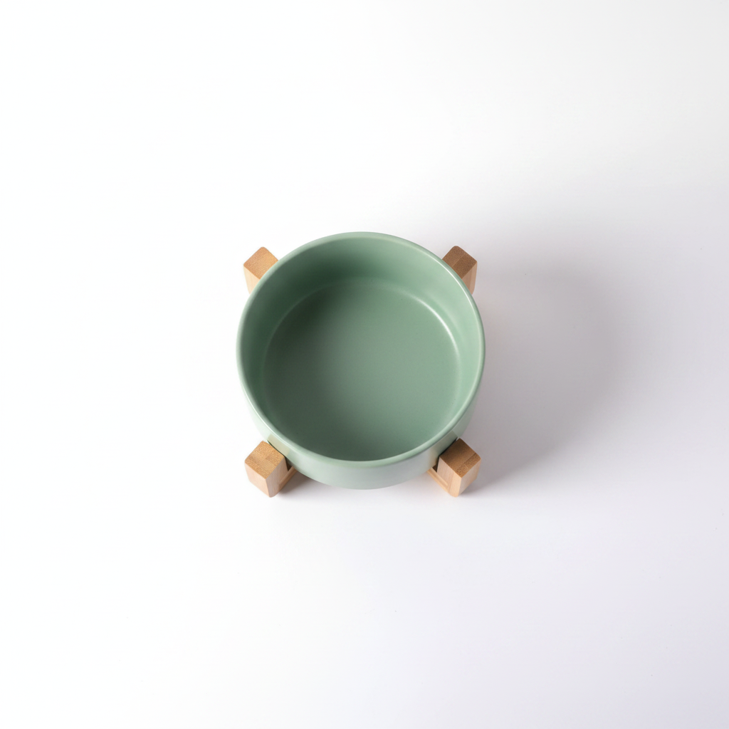 Elegant Dual Pet Bowl Set