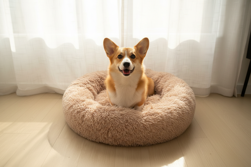 Cozy Comfort Donut Dog Bed
