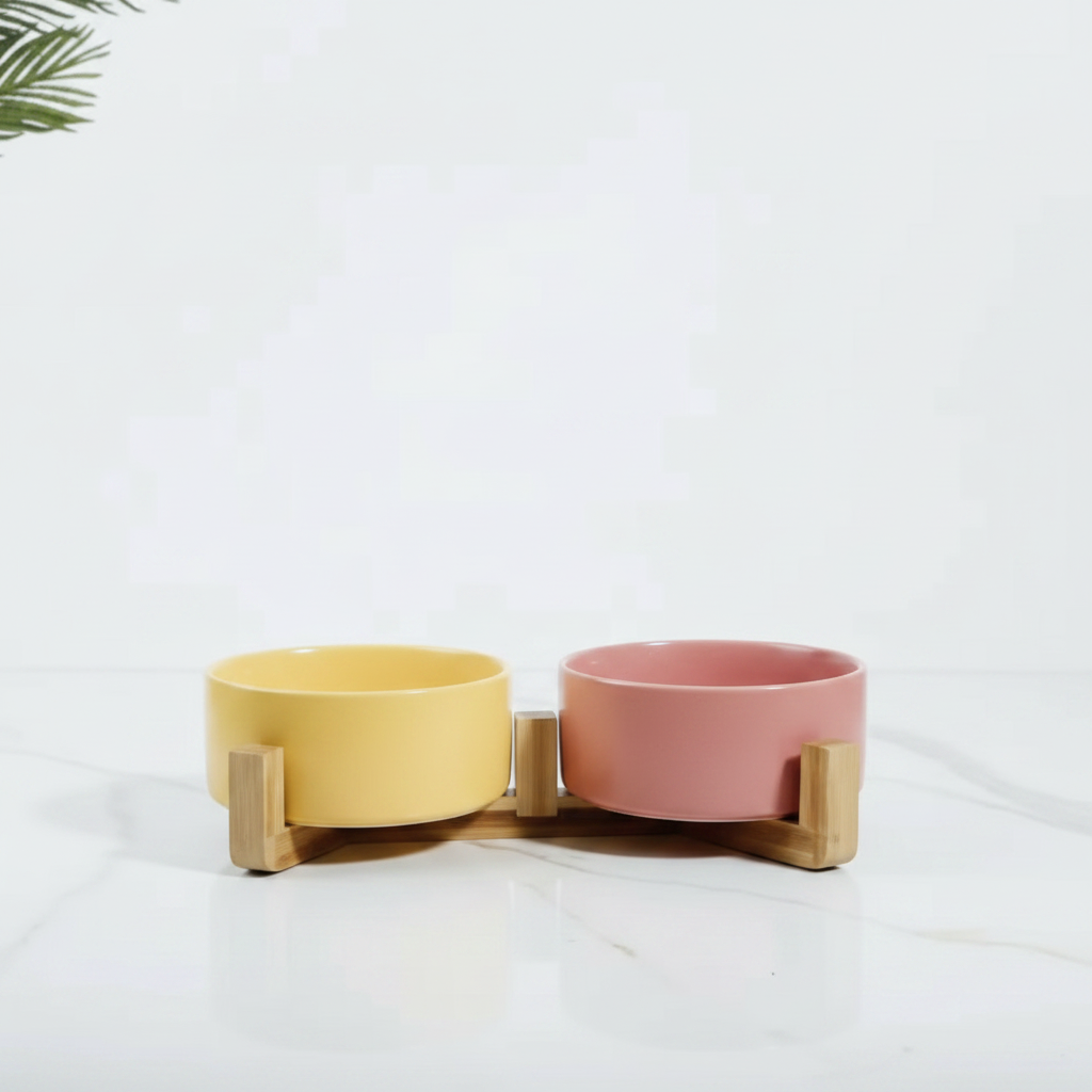 Elegant Dual Pet Bowl Set